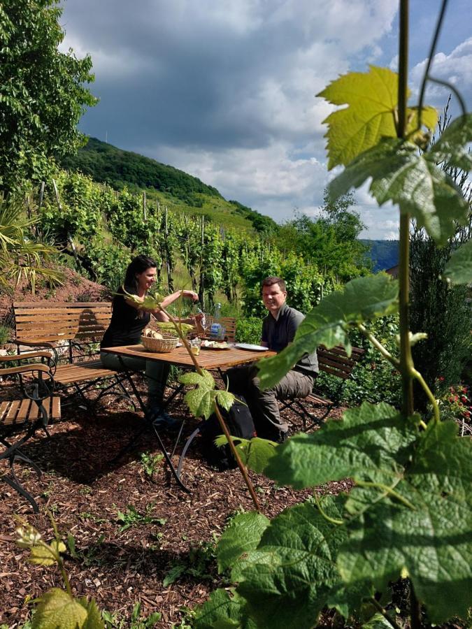 Weingut Erich Serwazi Mesenich Dış mekan fotoğraf
