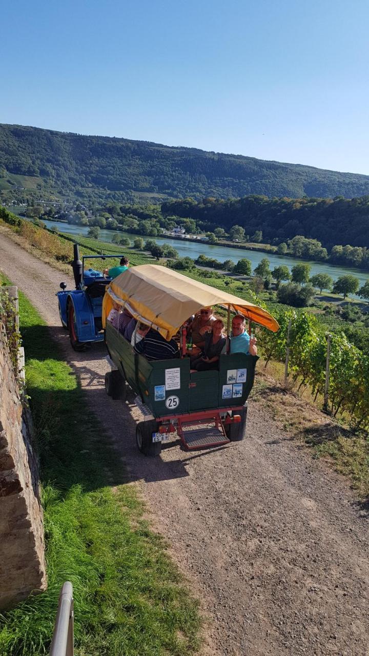 Weingut Erich Serwazi Mesenich Dış mekan fotoğraf