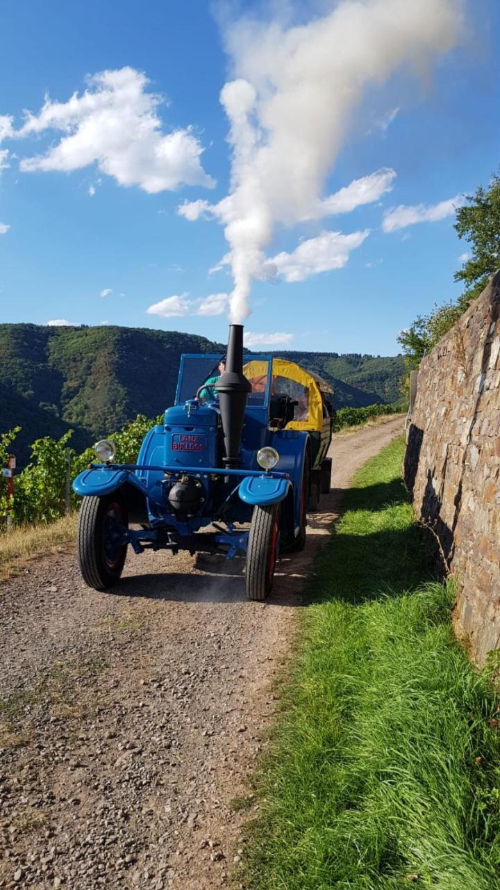 Weingut Erich Serwazi Mesenich Dış mekan fotoğraf